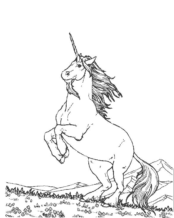 coloriage licorne cabree